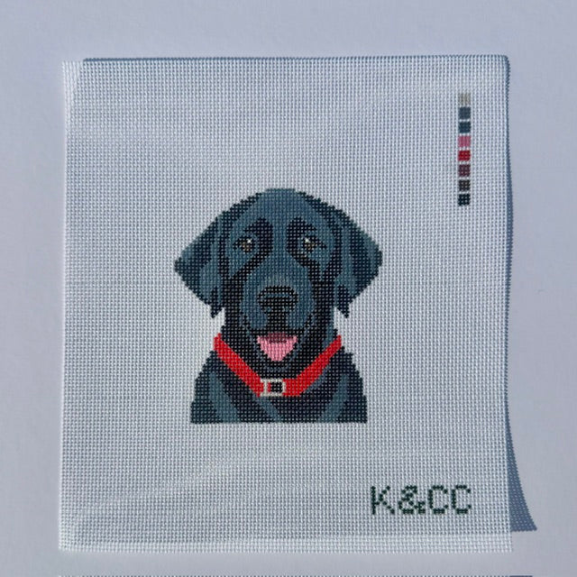 Black Lab